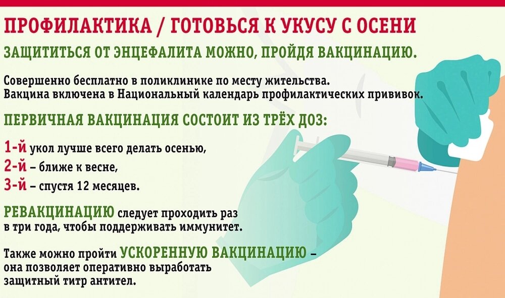    Фото:  АиФ/ Вероника Такмовцева