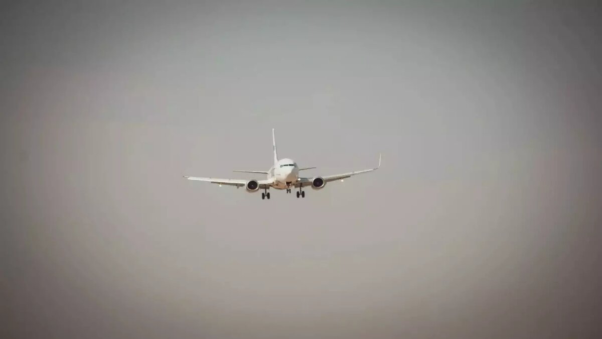     Источник: 1MI