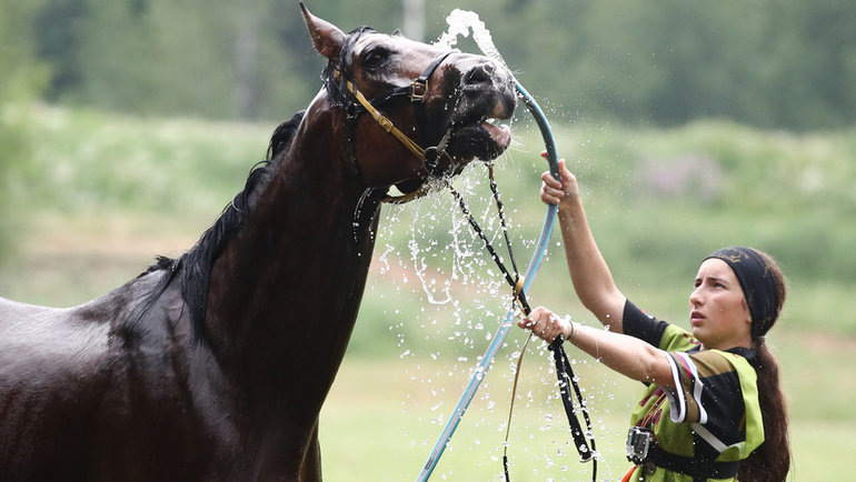    Дарья Исаева