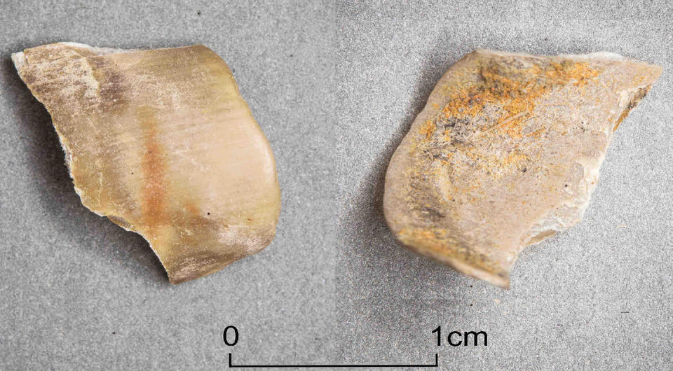   Dagmar Dreslerová et al. / Research Square, 2024