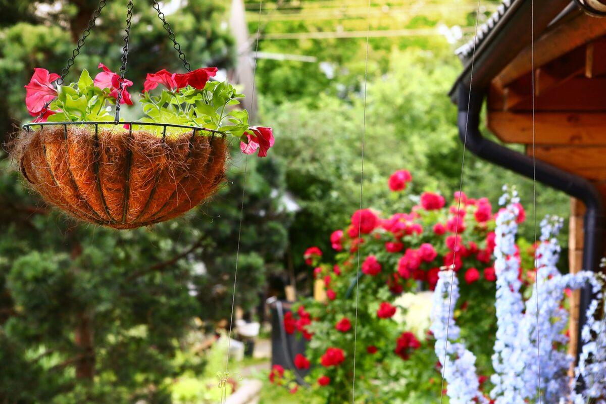 Входная зона создает первое впечатление о вашей собственности и задает тон всему ландшафту.-3