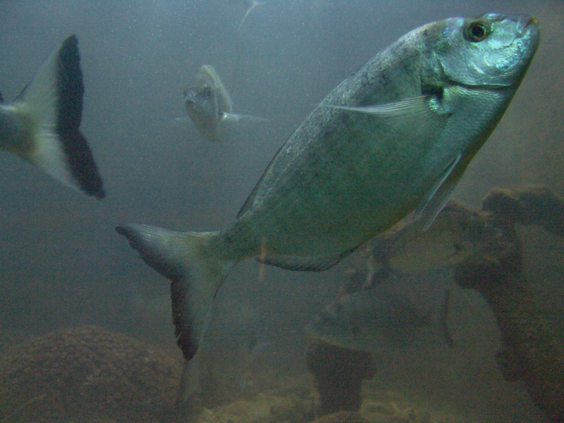    Фото: Viktor Chernov/Russian Look/Globallookpress