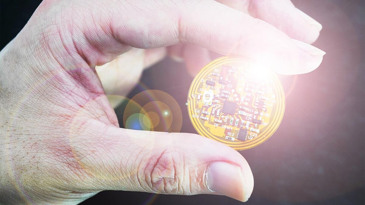 Фото любезно предоставлено Цзююнь Ши и Божи Тянь.