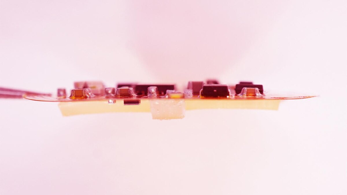 Фото любезно предоставлено Цзююнь Ши и Божи Тянь.