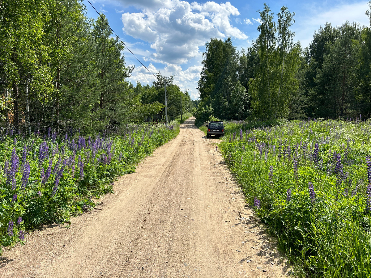 Детский сад берёзка 2 корпус город красноармейск московская область. Березка г д 3. Гостевой дом березка джемете. Садик березка стародуб. Черемшанский детский сад березка.