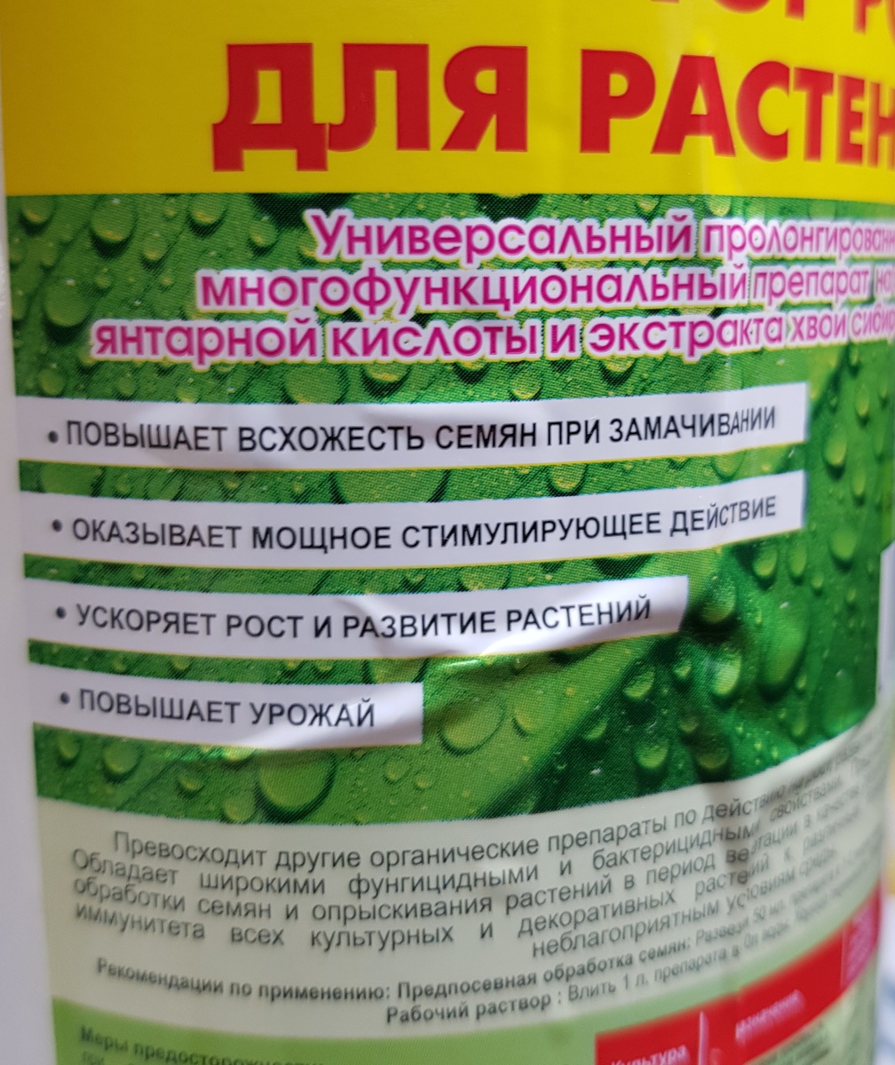 Заскочила в Светофор за удобрением, а набрала на 1700 рублей✓ Купила дыню и  другие фрукты👍А ещё гриль - бургер на пробу и не только! | Михайловна |  Дзен