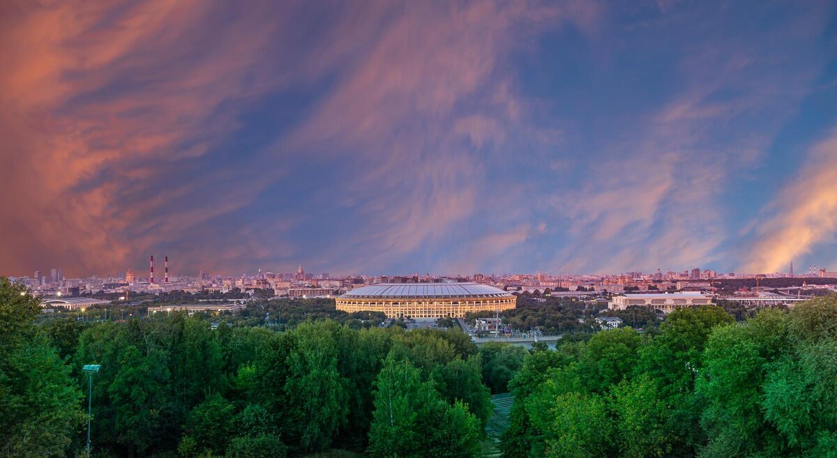 Shutterstock📷Район Хамовники — лидер по количеству элитных проектов с частными парками