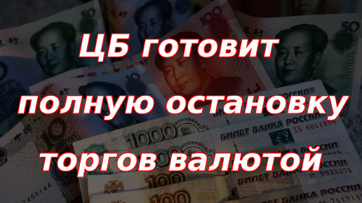 Банк России готовится к полной остановке биржевых валютных торгов