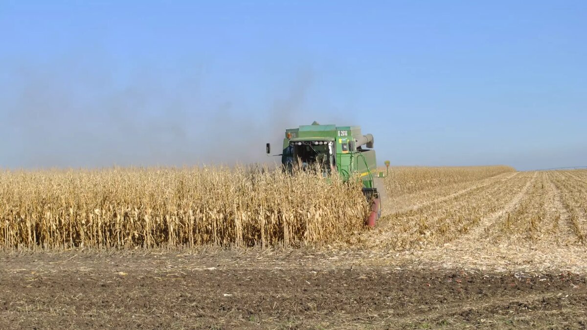     Автор: Donland.ru