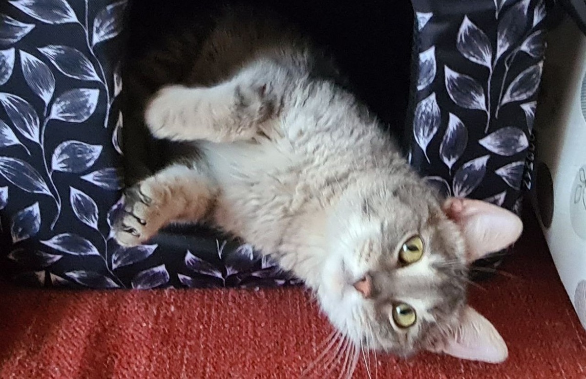 Светик ждëт