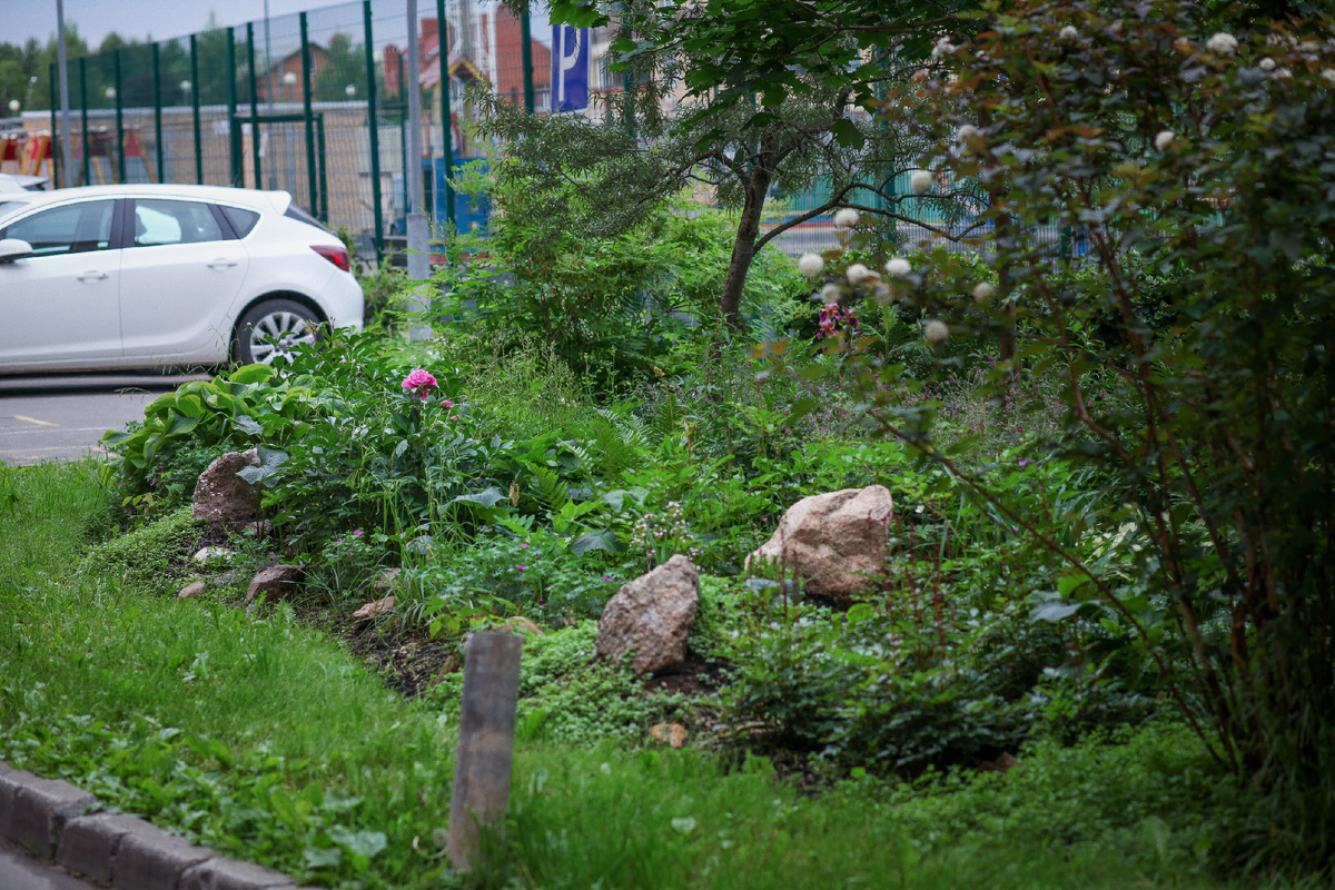 Вид на цветник с внутреннего угла дома.