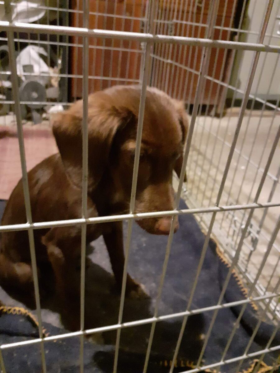 Все фотографии из домашнего архива