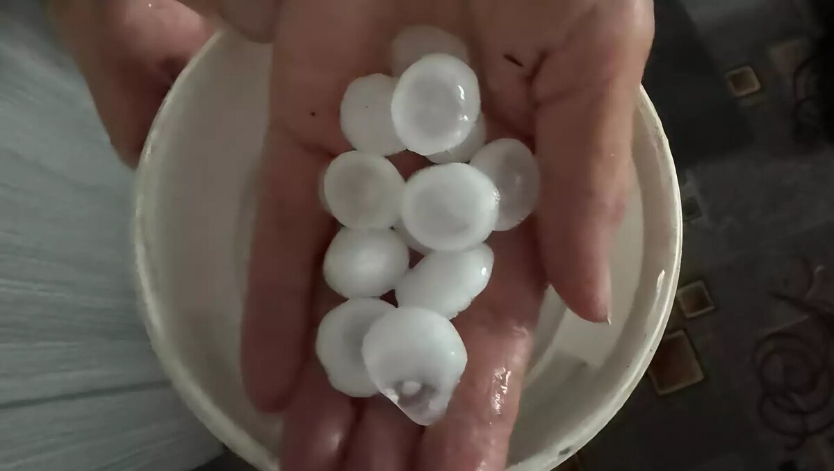     Источник: gorod55.ru