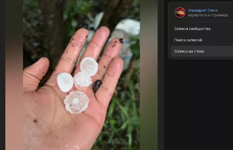     Источник: «Инцидент Омск»