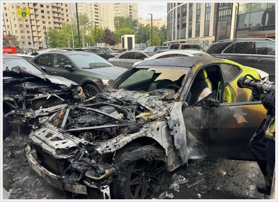 Автохам - не такой уж и редкий зверь в наше время. Обитают они везде, приспосабливаются под любые обстоятельства и всегда нарушают порядок.-2