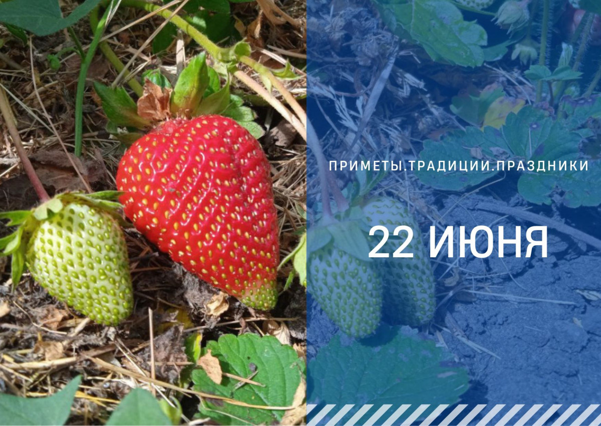   ГТРК "Ставрополье"