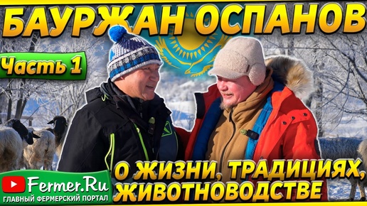 Животноводство с Бауржаном Оспановым. Верблюды|лошади|овцы. Учебный полигон для учёных и школьников