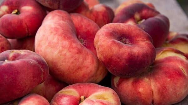    © РИА Новости Крым . Дмитрий Макеев