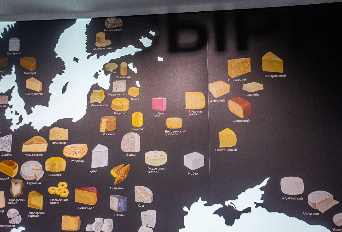Сырная карта, фрагмент. Музей истории производства сыра "СырКультПросвет" при Угличском сыродельно-молочном заводе. Углич, Ярославская область. Фото автора статьи  