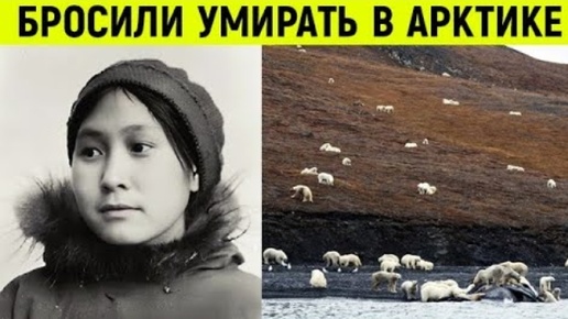 Ее оставили в Арктике наедине с белыми медведями, а через 2 года вернулись и вот что обнаружили.