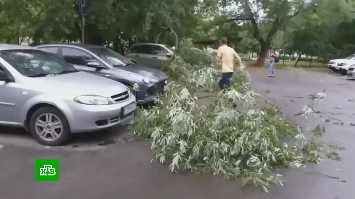 На Омск обрушился мощный ливень с крупным градом | НТВ: лучшее | Дзен