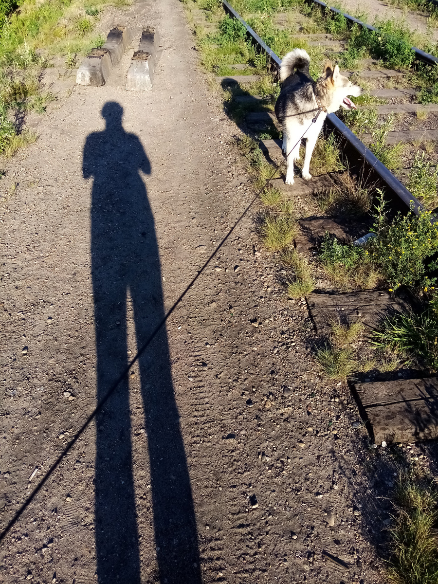 По-моему, жена с такими длинными ногами —бесценна 🤣