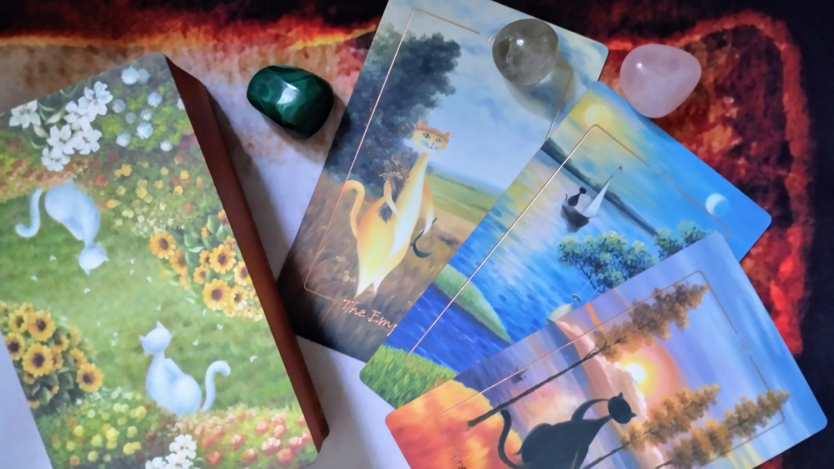 Фото автора.