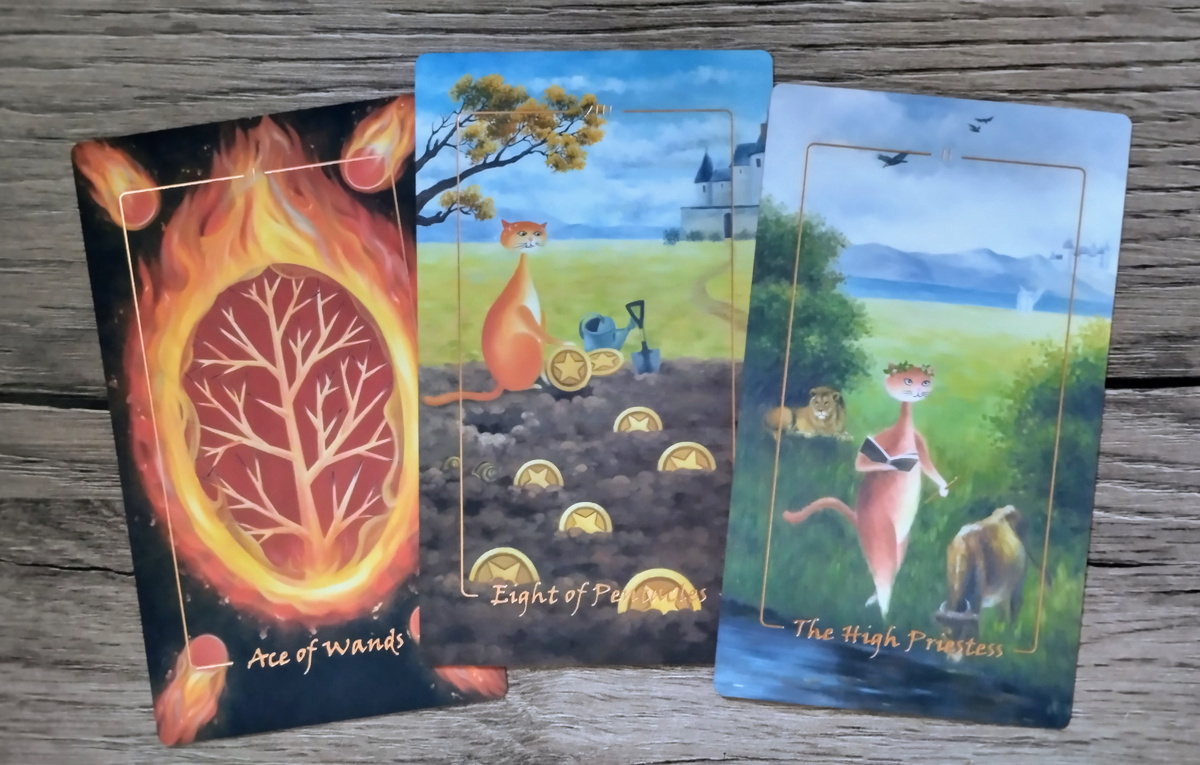 Фото автора.