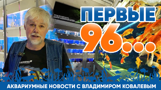 Новости аквариумного магазина с Владимиром Ковалевым (21.06.24). ПЕРВЫЕ 96...