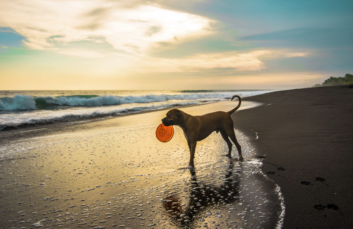 Фото unsplash.com