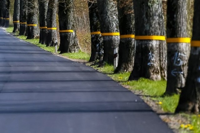   Фото из архива Калининград.Ru