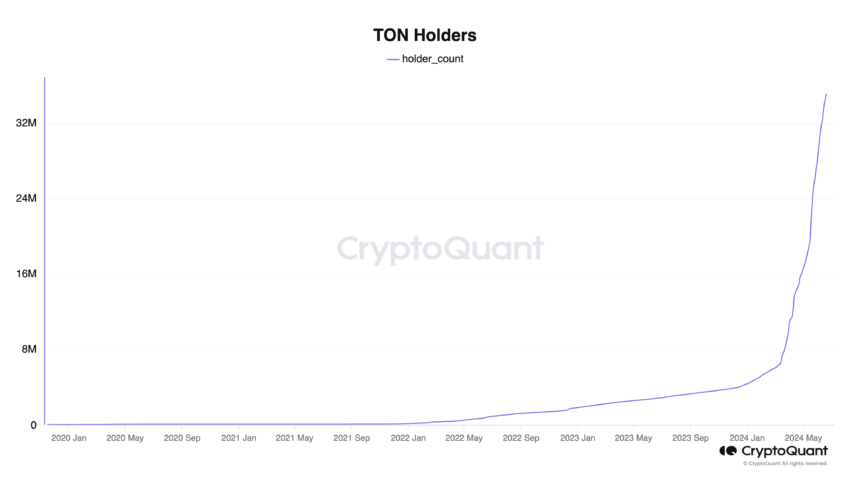 Количество держателей Toncoin. Источник: CryptoQuant