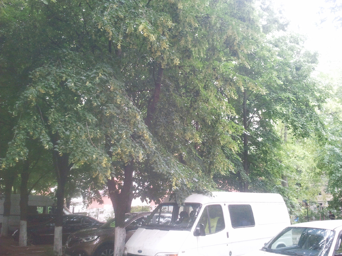 Фото автора