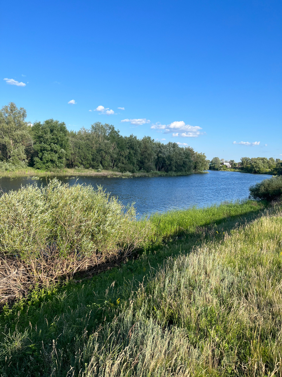 Выбор дома, часть 3 | ПереЕхи в селО | Дзен