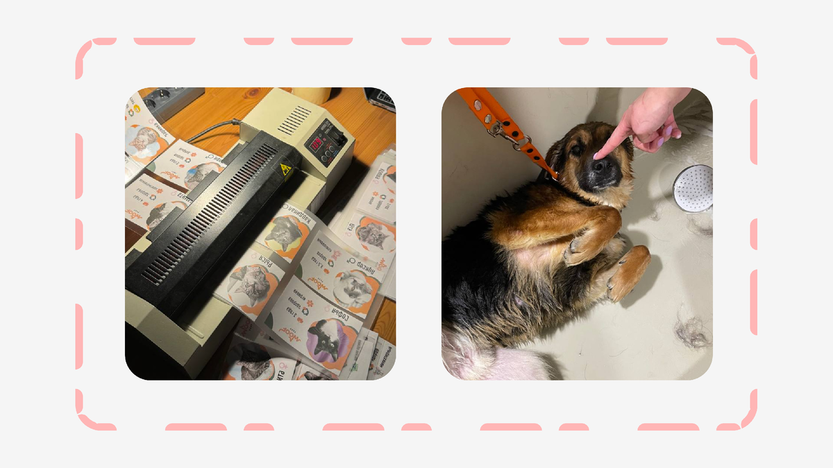 Сотрудники и животные с трепетом готовились к фестивалю