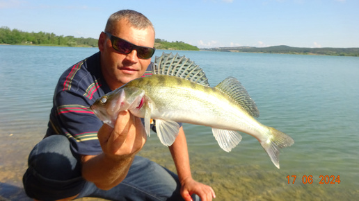 Ловля злобных Судаков Летом на живца.2о24.