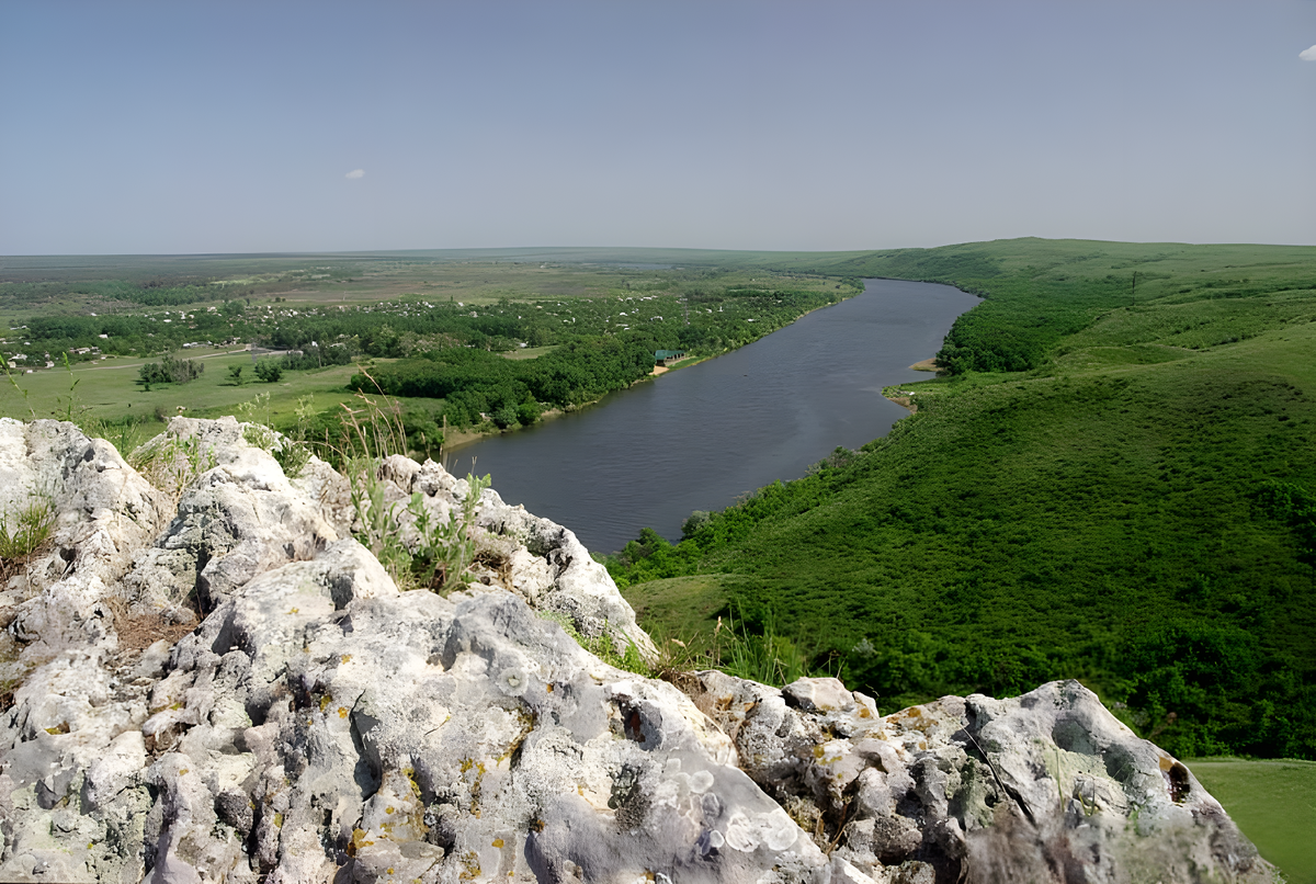 Фото из открытого источника Яндекс 