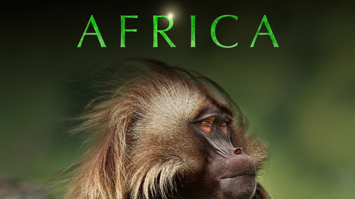 Источник: https://www.amazon.com/Africa-Season-1/dp/B00AZ0Q7HA