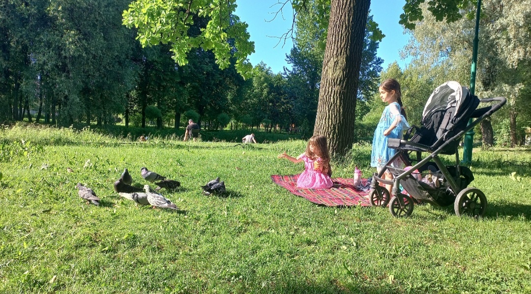 Прекрасное место для пикника. Beautiful place for a picnic.