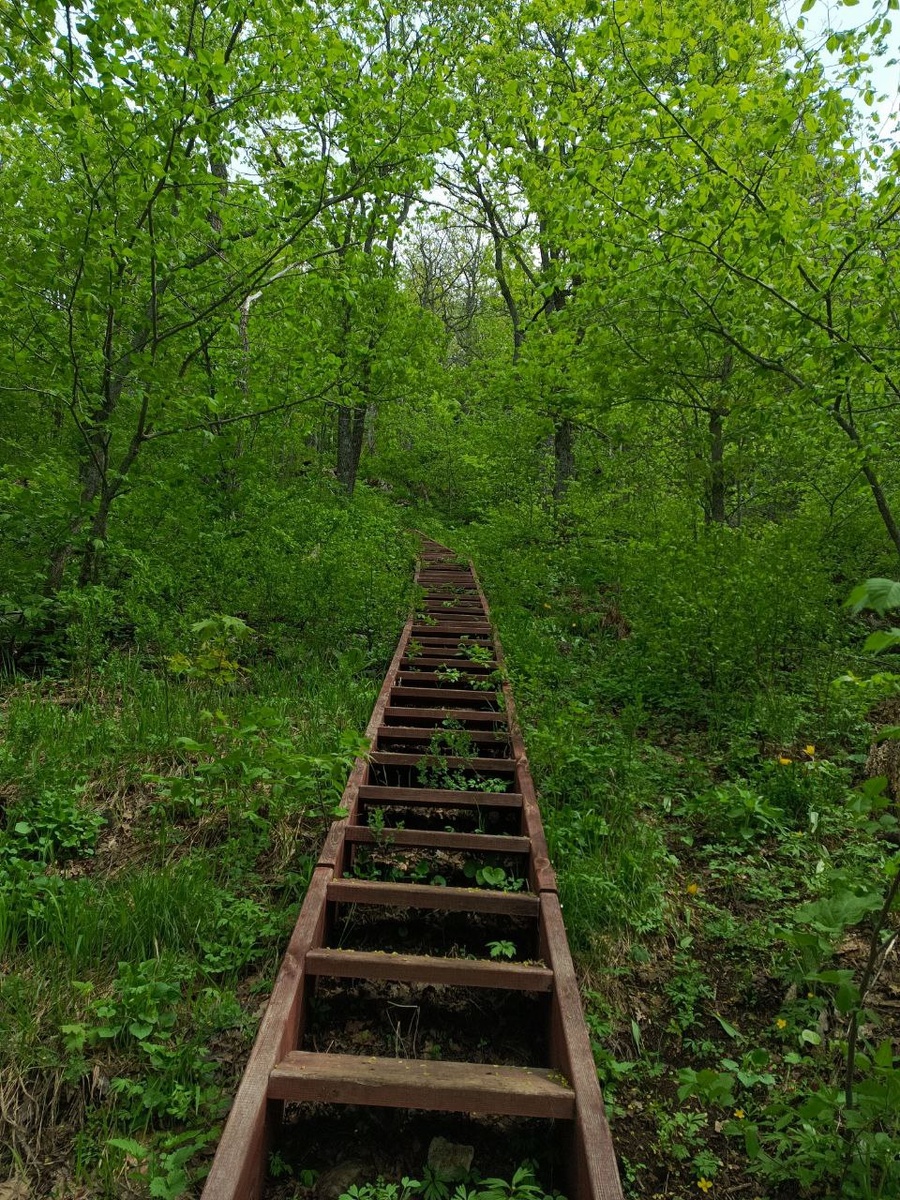 Личный архив