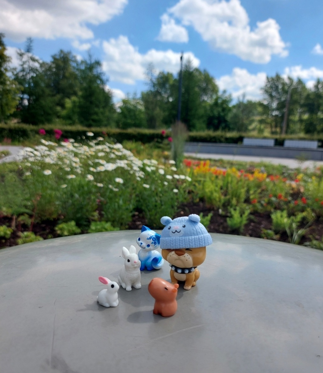 Моя любимая банда