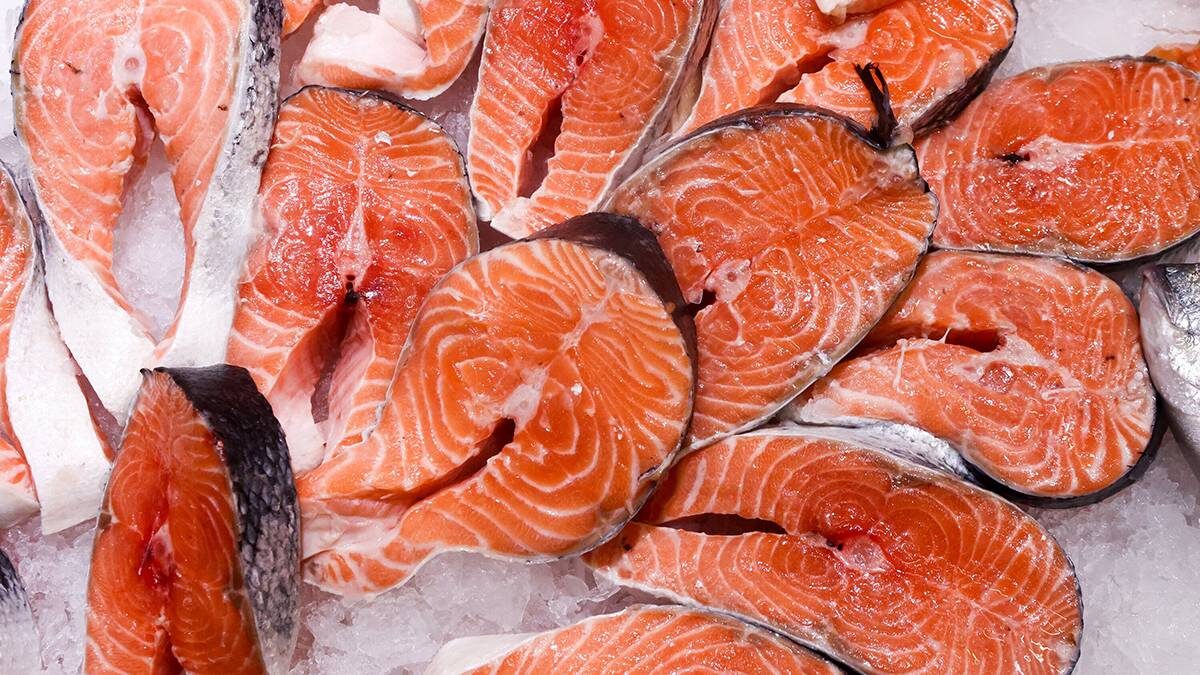    Фото: Ярослав Чингаев / АГН Москва