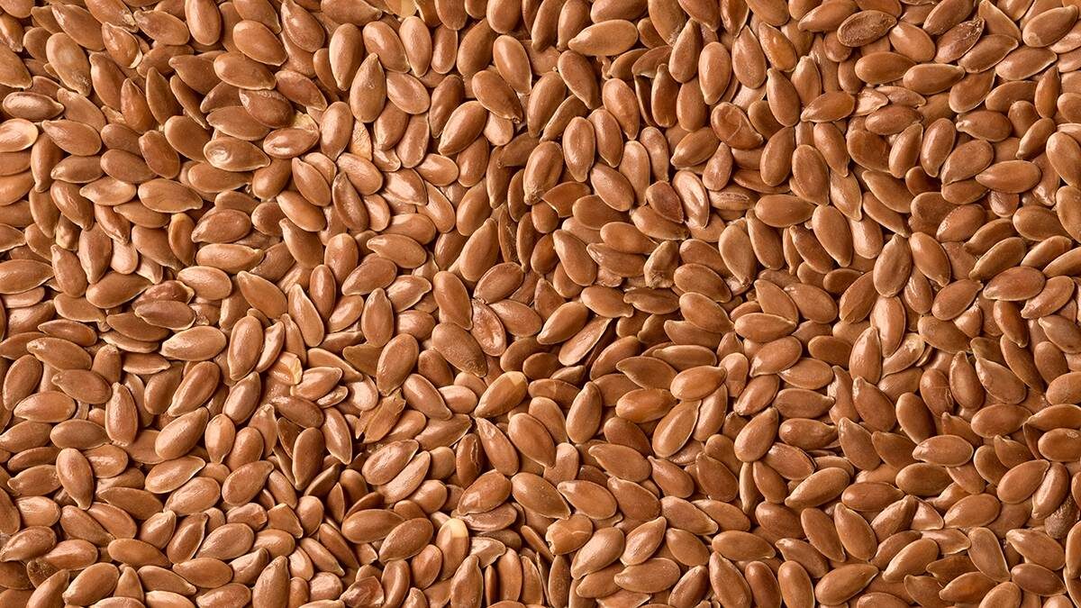    Фото: Shutterstock