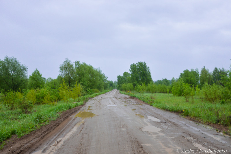 Левый берег камы