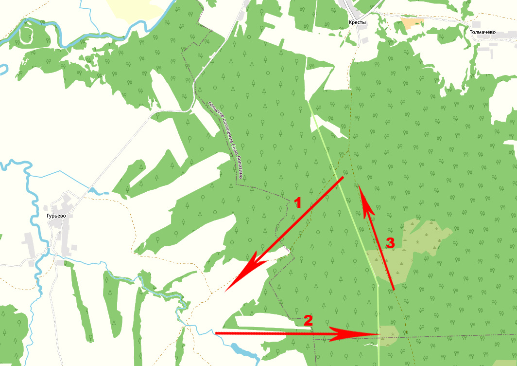 Общая схема прогулки: 1) Дорога к урочищу Маковицы 2) Лесная аллея 3) Обратный путь 