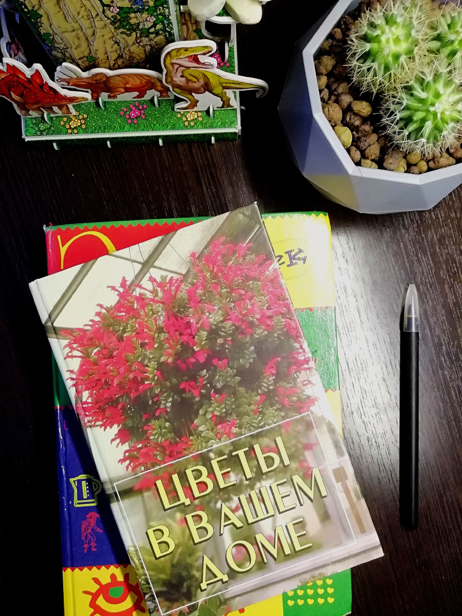 Фото автора 