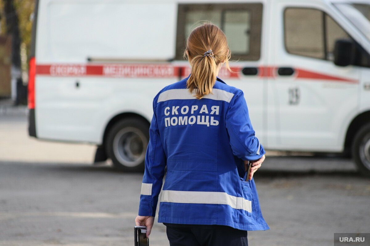 фото из интернета