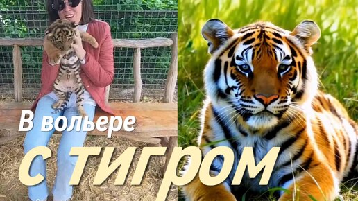 В Вольере с Тигром 🐯