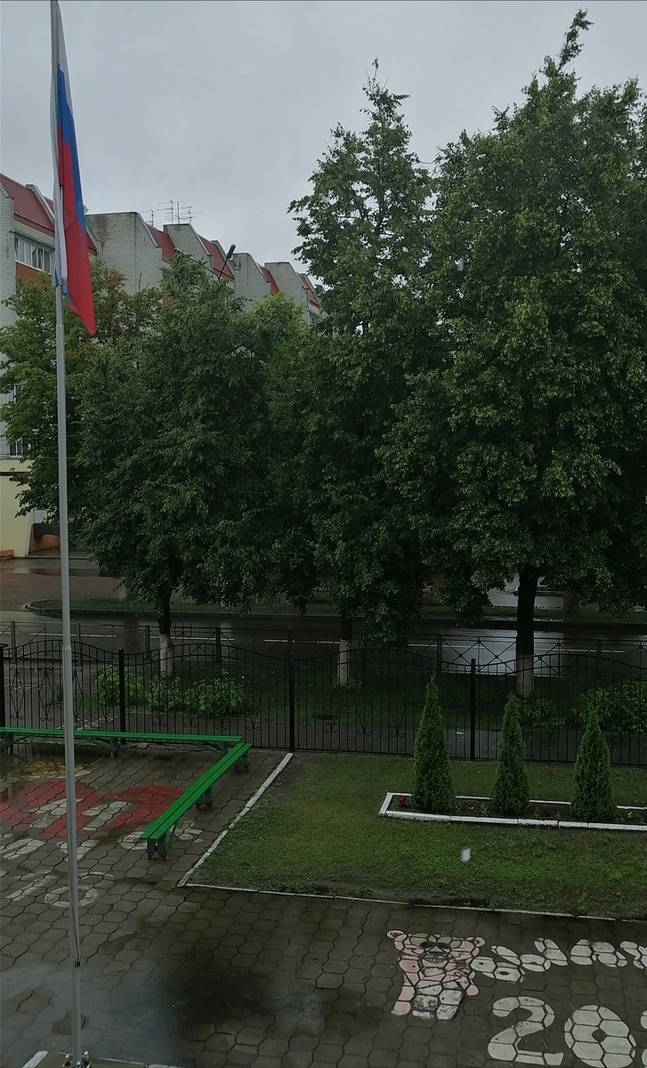 Погода в чнтверг