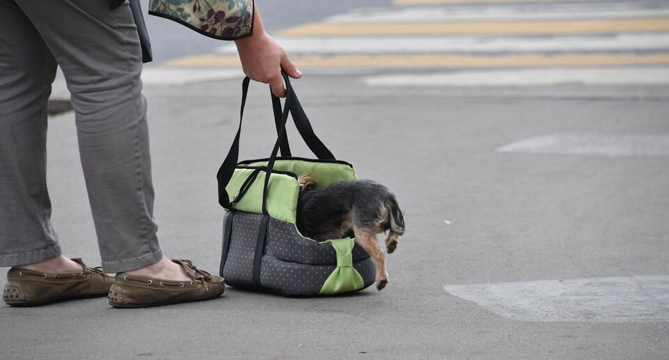    Komsomolskaya Pravda / Global Look Press